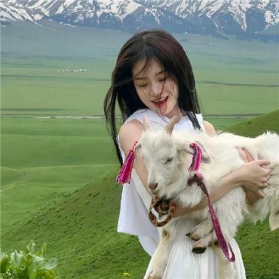 彩云妃子